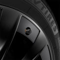 ACP09331 - Tesla Series Valve Stem Cover VS100 zoomed in to the product