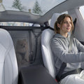 ACP11156 - Pet Car Backseat Barrier | PS200 in Black showing a dog with a backseat barrier