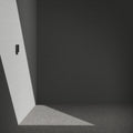 ACP10400 - Garage Wall Protector | WP100 showing the installed wall protector